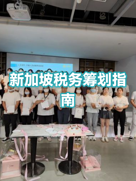 消费咨询税务筹划(消费税税务筹划)蚌埠市