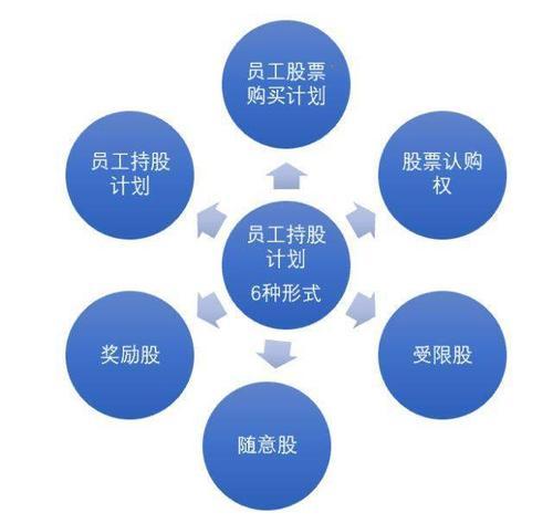 员工持股计划设计(员工持股计划书模板)蚌埠市