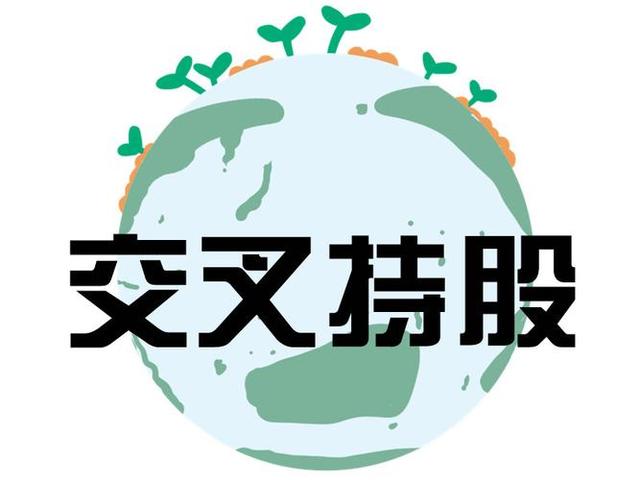 交叉持股安排设计(交叉持股怎么计算持股比例)蚌埠市