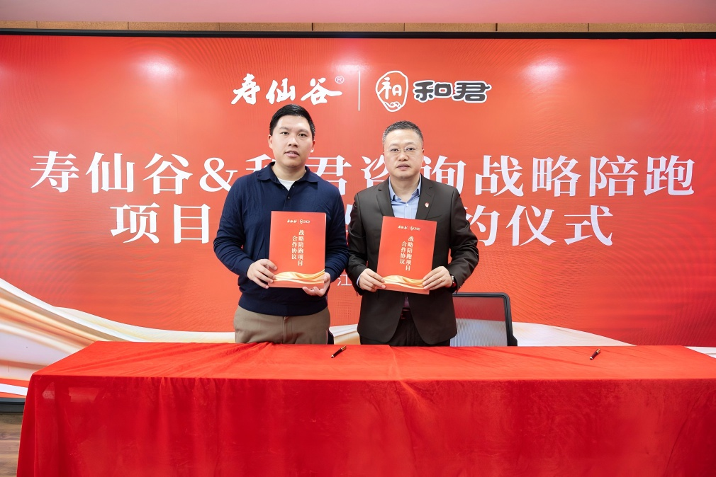 战略执行陪跑服务(战略执行五步方案案例)蚌埠市