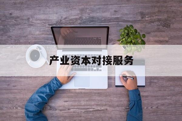 产业资本对接服务(产业资本对接服务包括哪些)蚌埠市